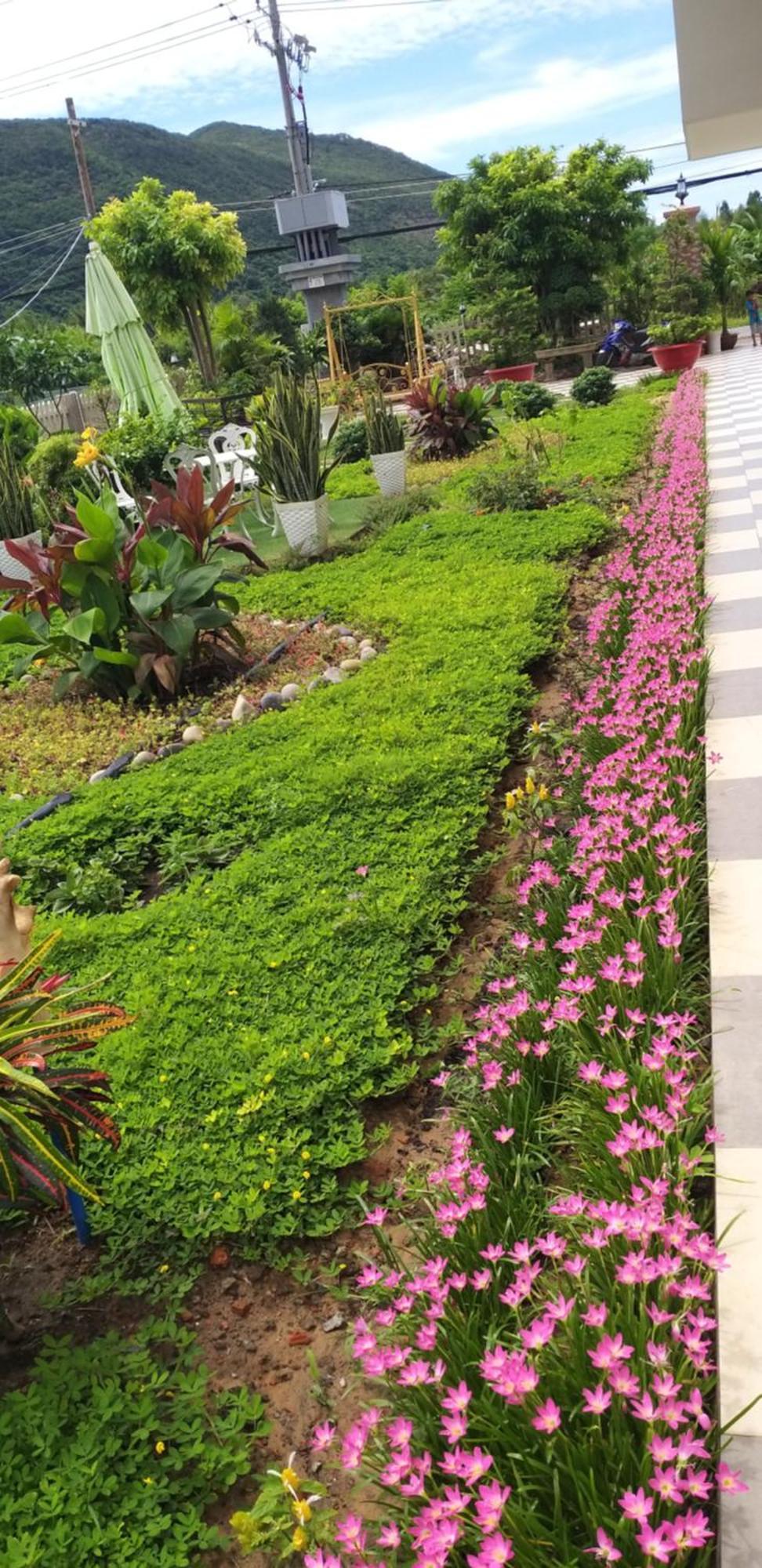 Garden House Con Dao Aparthotel Chi Khu Co Ong Bagian luar foto